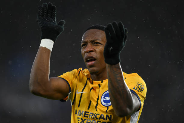 不可或缺的 不可或缺的