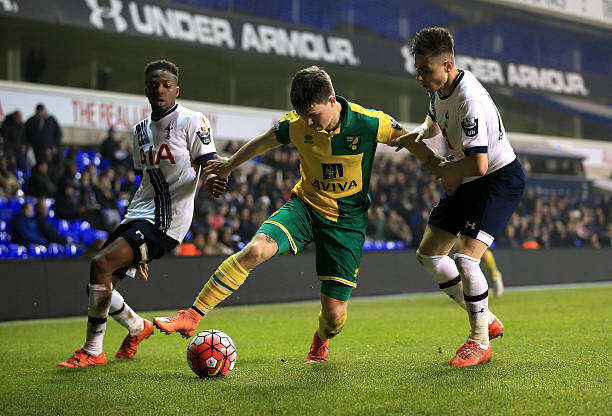 仅决定了法 仅决定了法