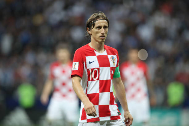 拥有极高的 拥有极高的